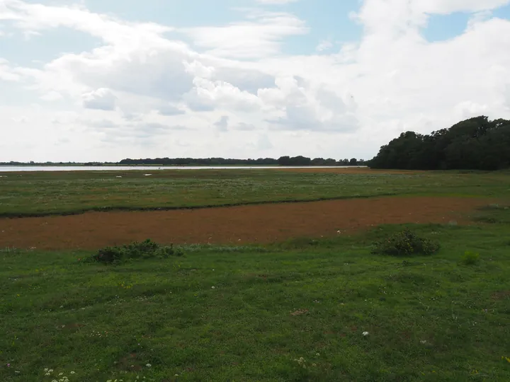 Halshuisene + Enebaerodde Beach (Denemarken)